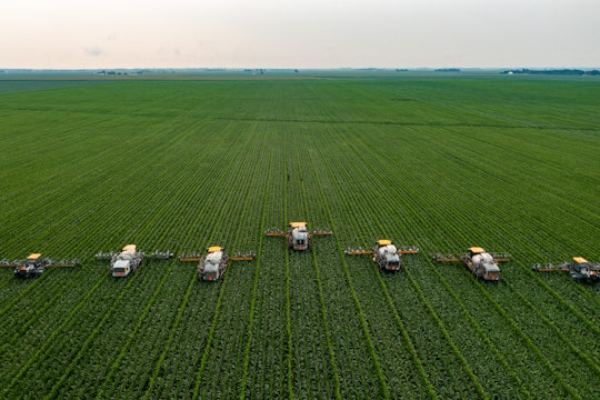 a line of corn detasseling machines in a green field seen from above
