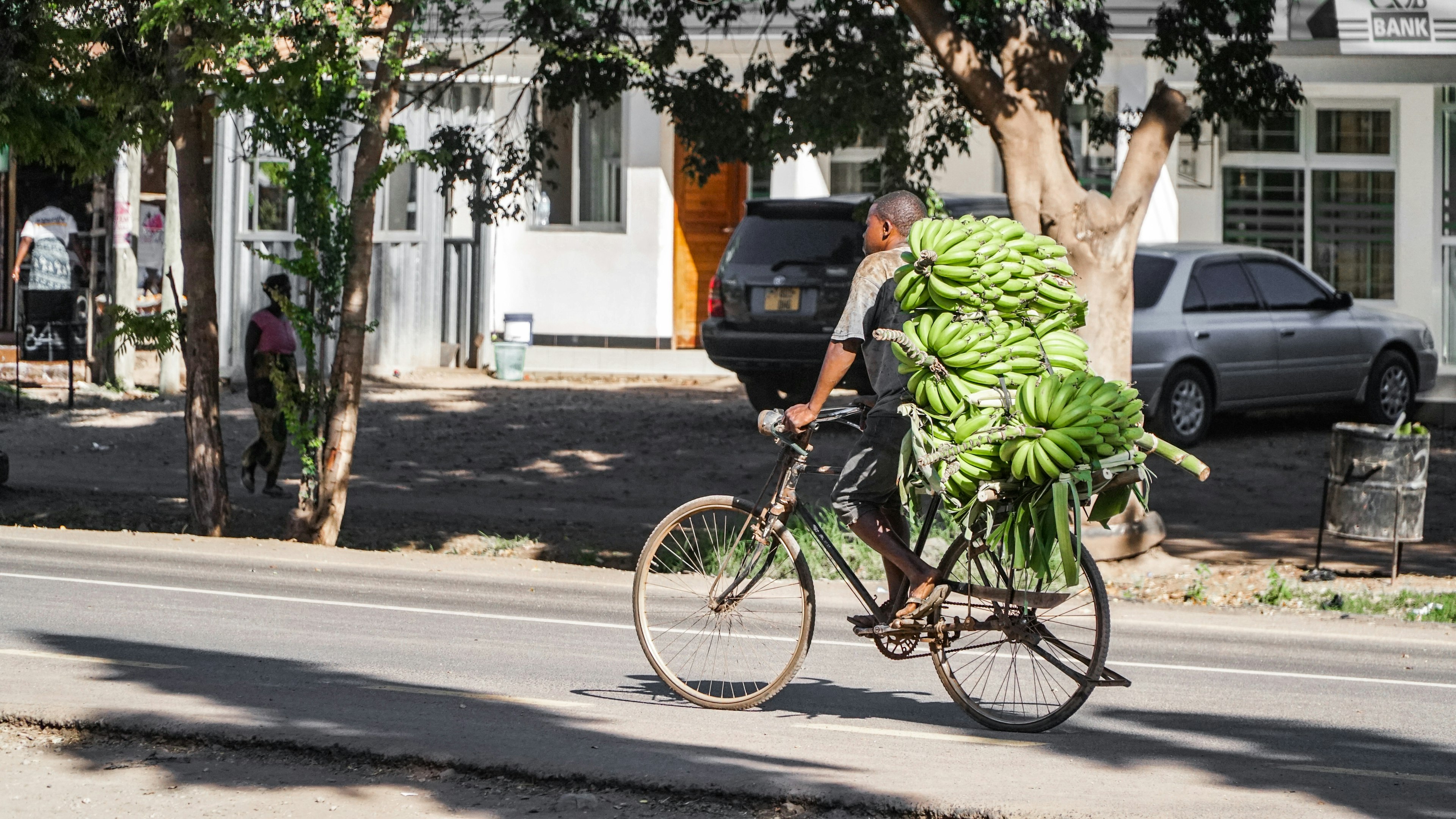 man on bicycle with bunch of bananas