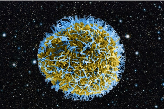 virus space virus with a galaxy background
