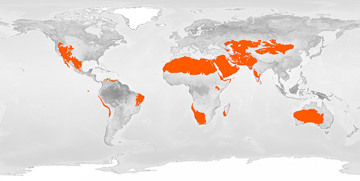 A map showing the relative latitudes of deserts on the planet