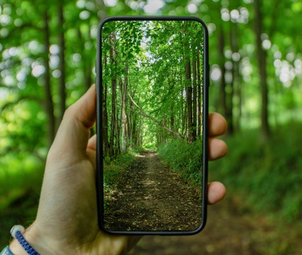 A green forest is seen through a cell phone held in a person's hand.