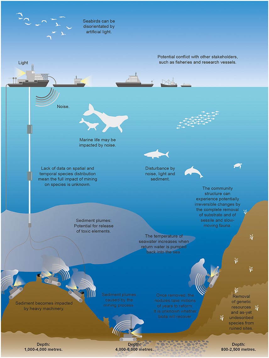 Likely mineral extraction methods and some of the possible sources of disturbance to target and surrounding ecosystem