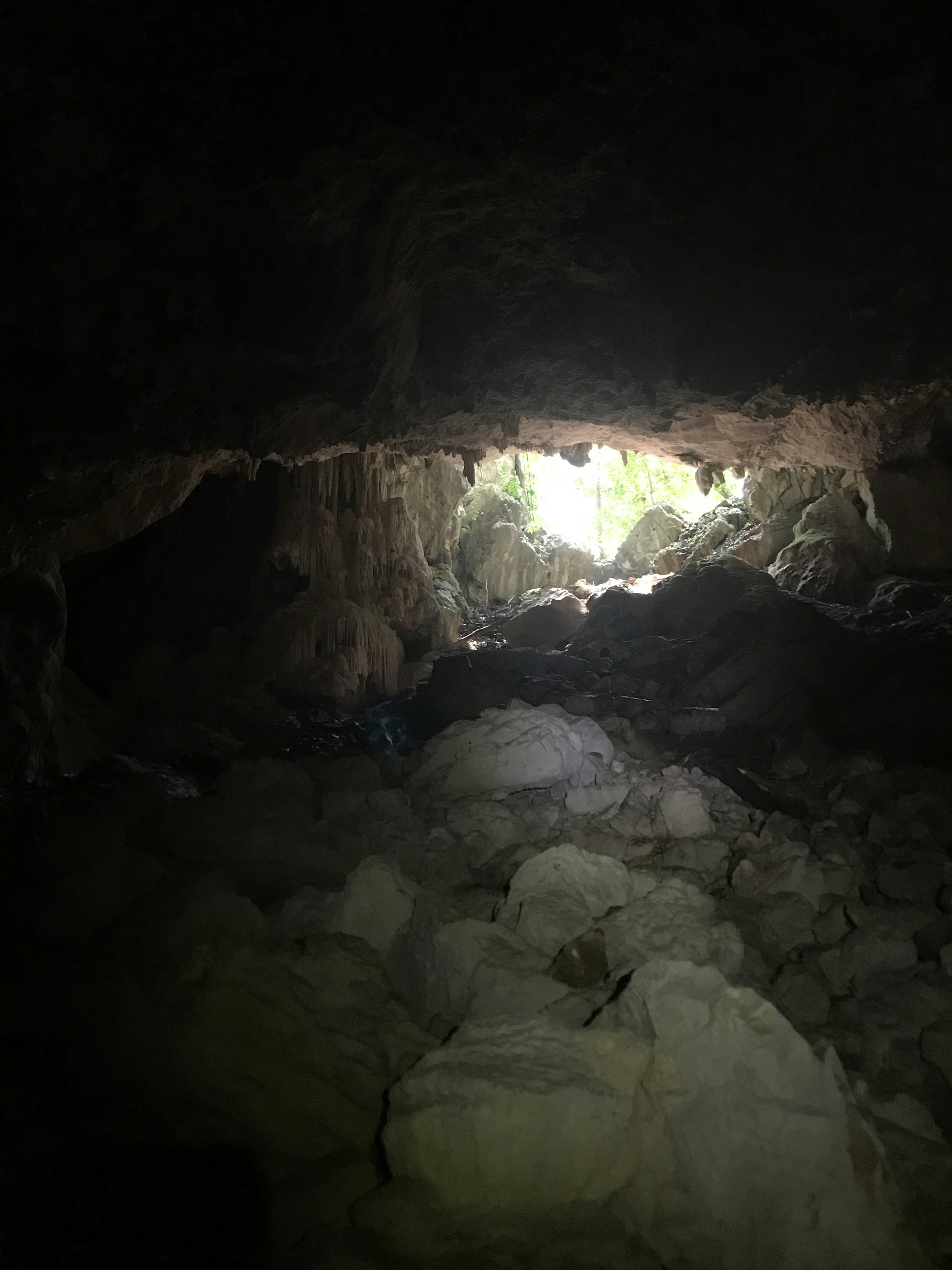 The exit of a cave to the outside, seen from inside the cave.