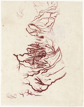 A drawing of the blood vessels of the heart.