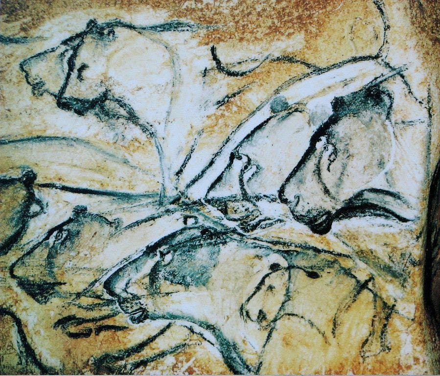 Lions painted in the Chauvet Cave.