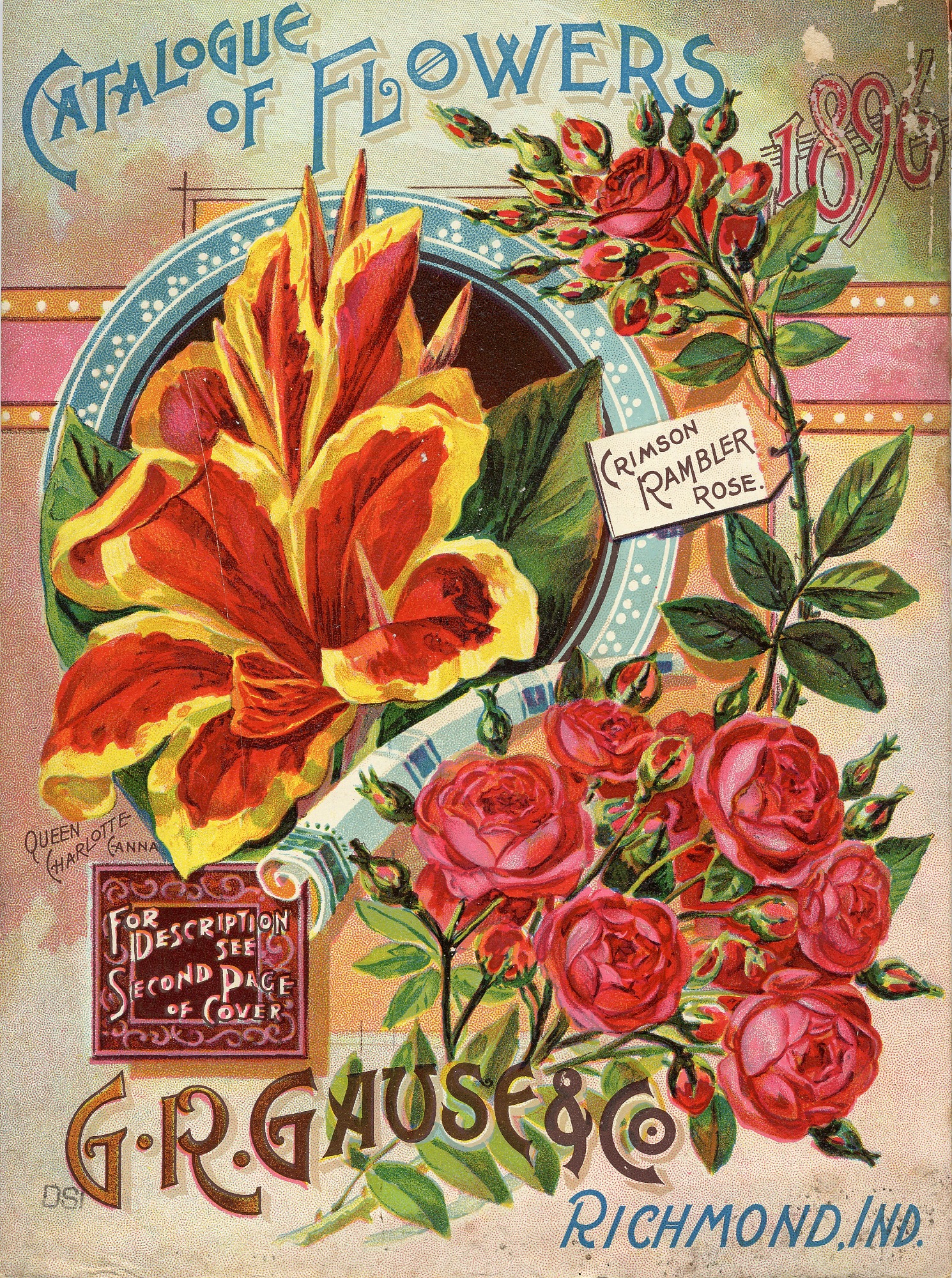 seed catalog image of flowers