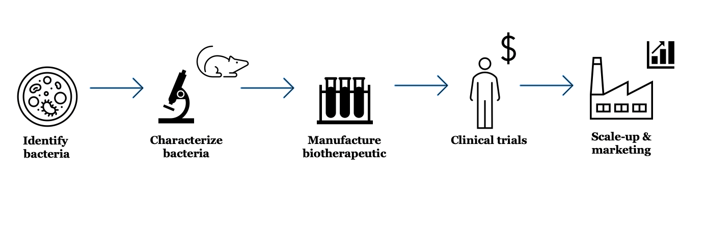 a diagram depicting a process moving from identifying and characterizing bacteria, to manufacturing treatments, to clinical trials, to scaling up and marketing a drug