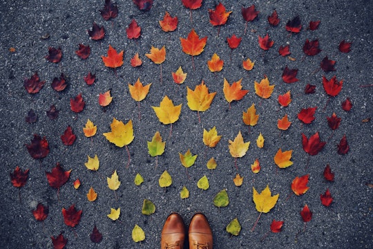 a person standing looking down at red, orange, yellow, and green leaves