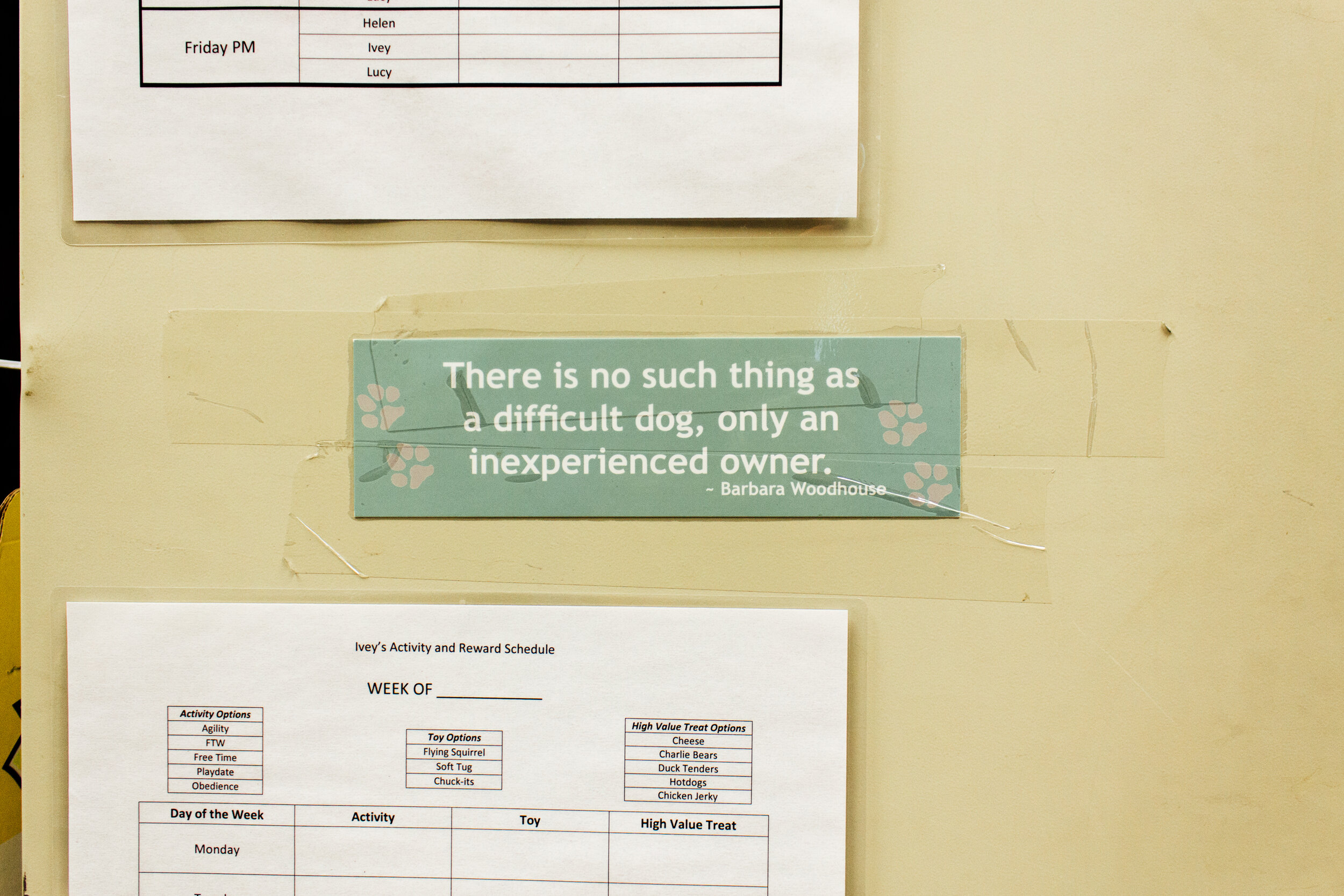 A sign on the wall that reads "There is no such thing as a difficult dog, only an inexperienced owner."