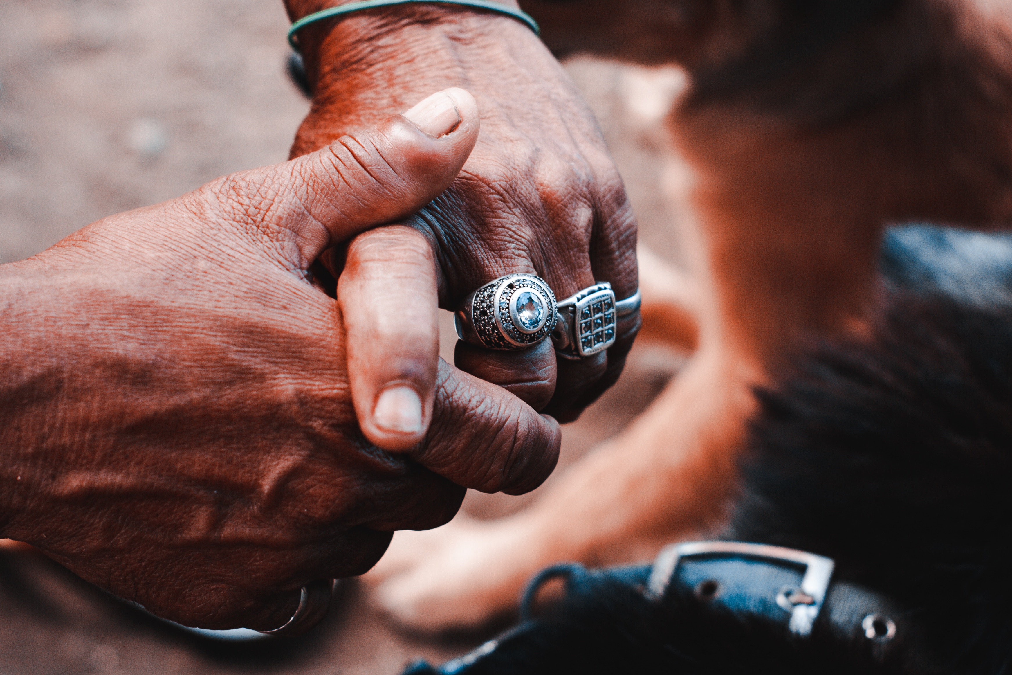 Two old hands, heavy with rings, suggestive of hospice care or palliative care.