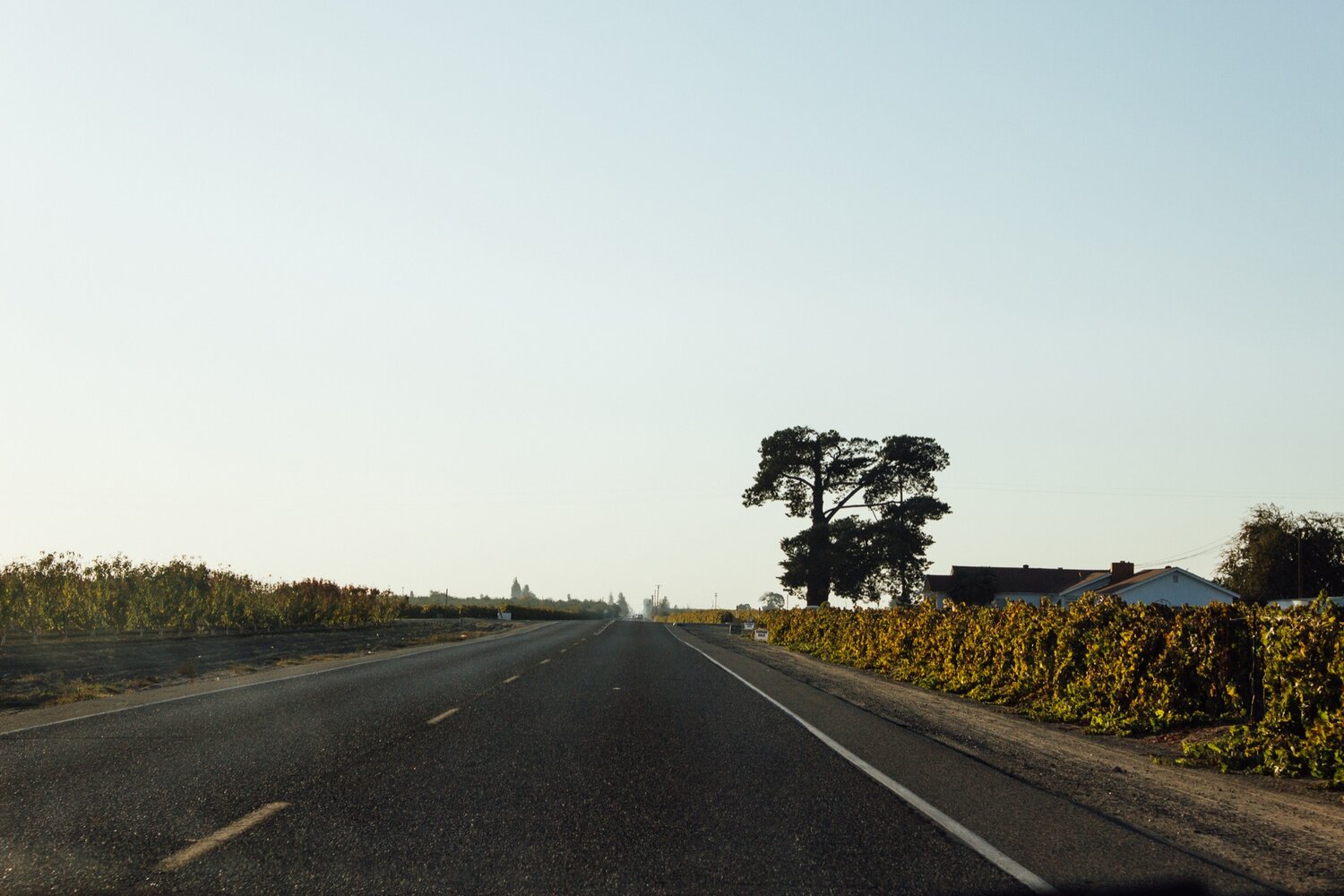 A country road in Fresno, California.