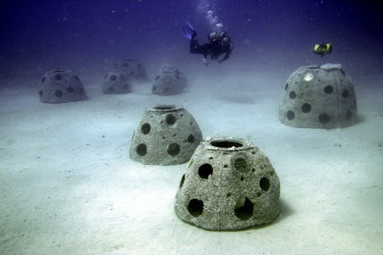 A new graveyard of "Reef Balls" with a diver A new graveyard of "Reef Balls" with a diver