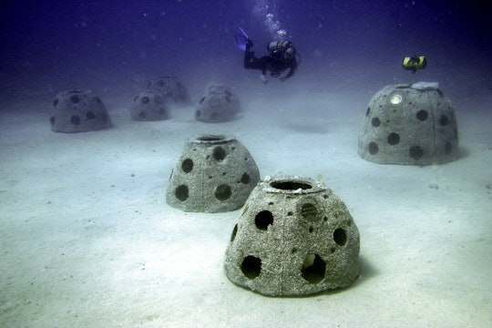 A new graveyard of "Reef Balls" with a diver