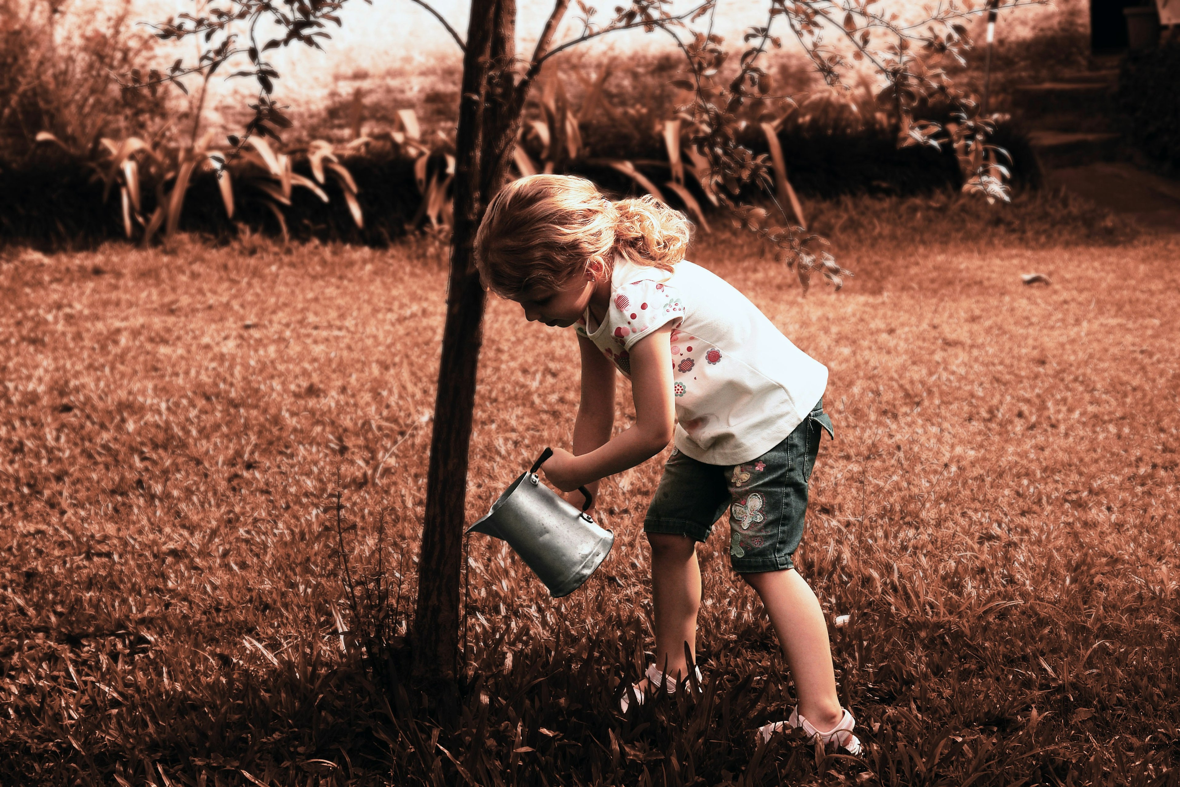 a young girl watering a tree