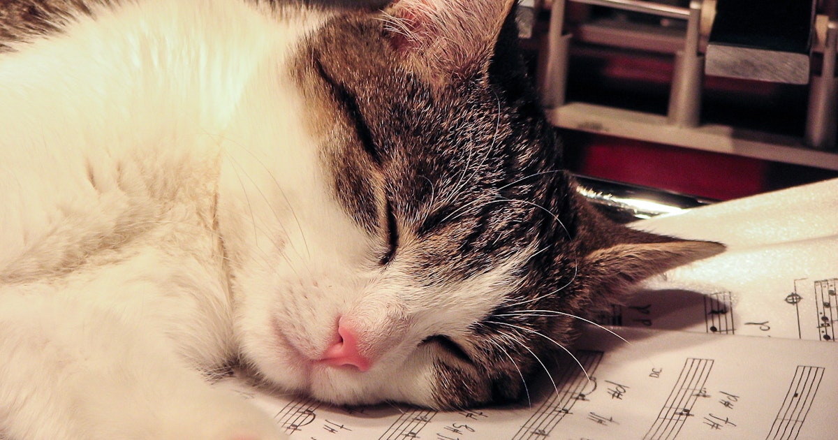 Do animals hear music? Do animals hear music?