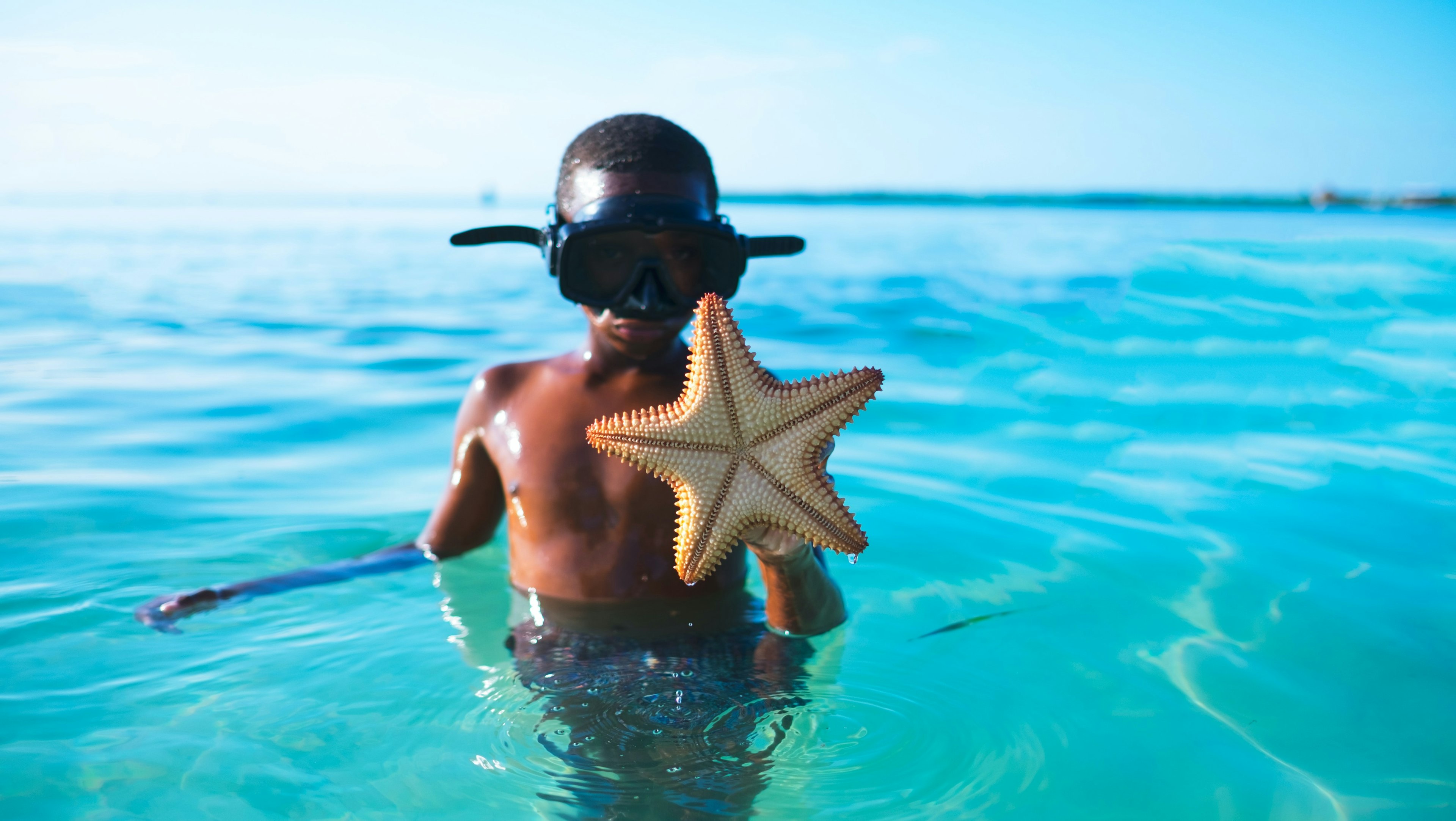 a boy wearing a snorkeling mask showing off a starfish he found