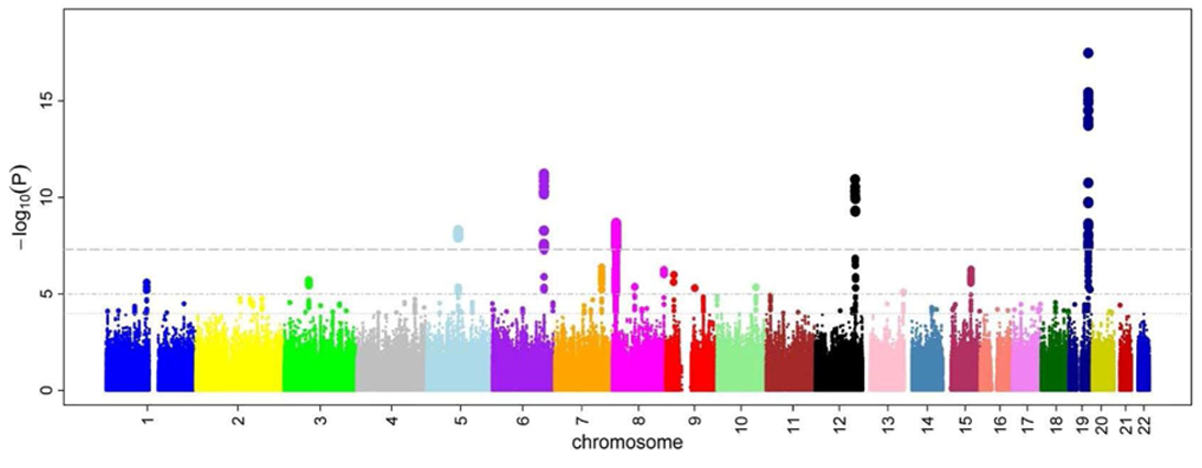 A Manhattan plot used in a genome wide association study (GWAS). It has many columns of similar size with a few extra tall ones, said to resemble the skyline of Manhattan's skyscrapers.