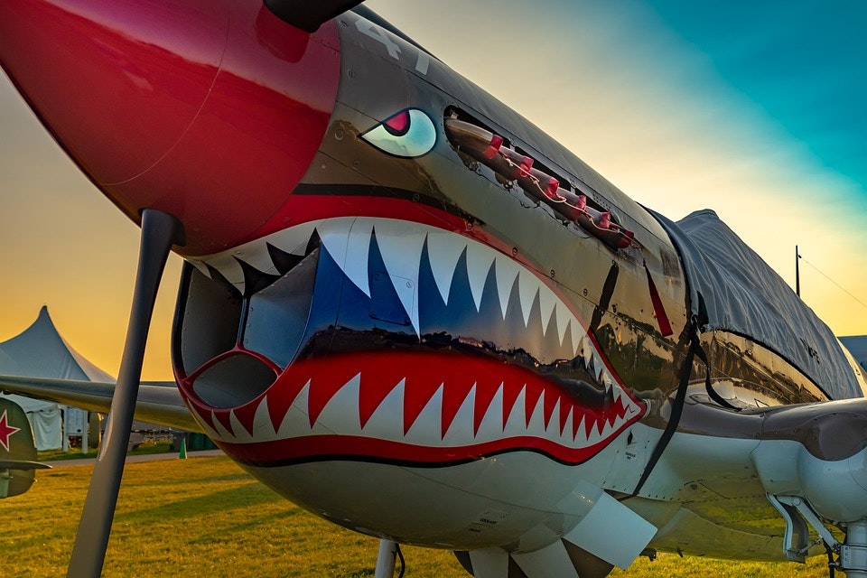 an airplane painted to look like a shark