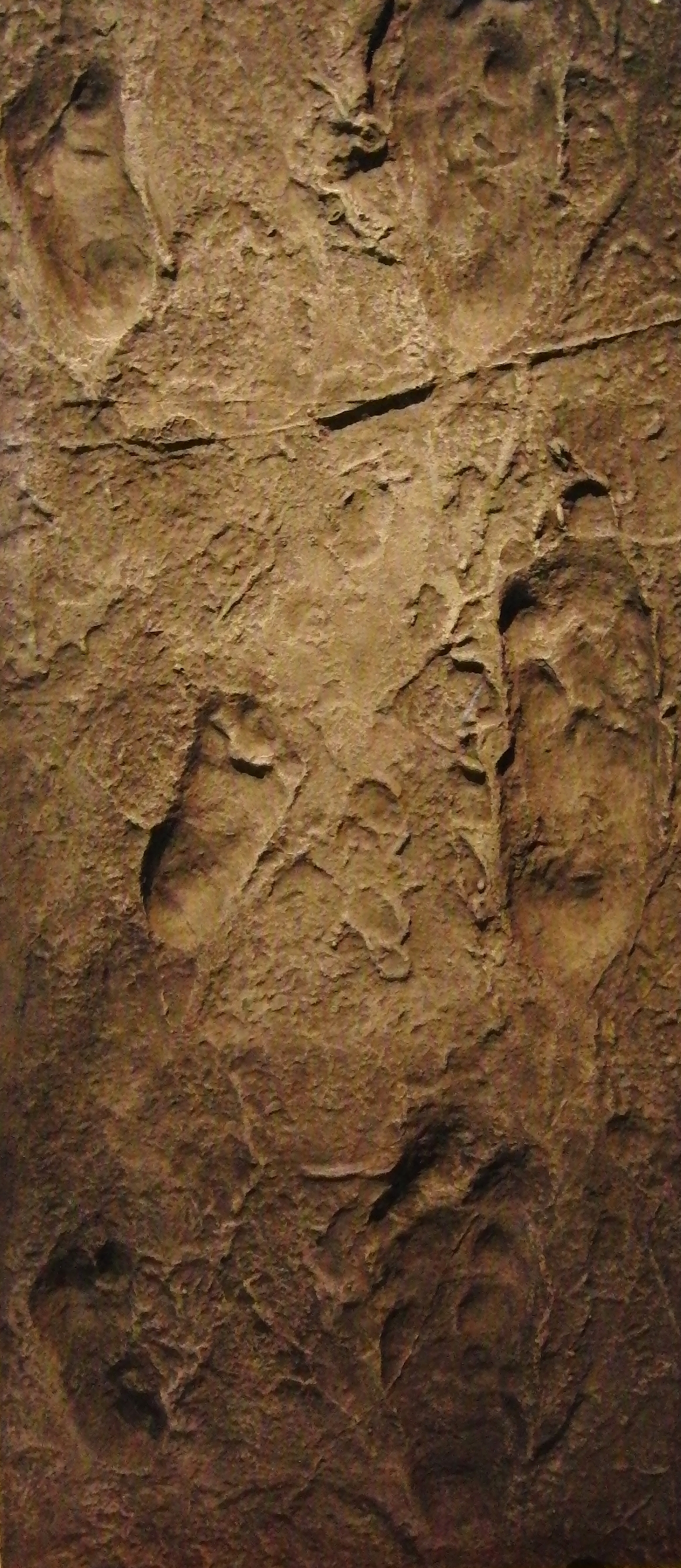 fossilized Laetoli footprints in mud 