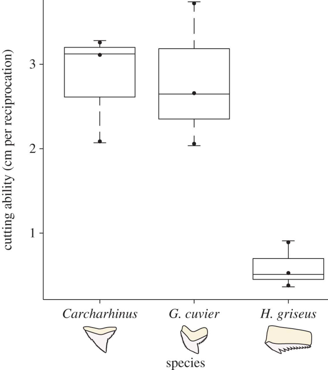 graph of shark tooth cutting ability