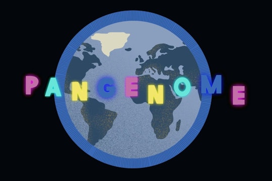 Pangenome-Still1 the human pangenome