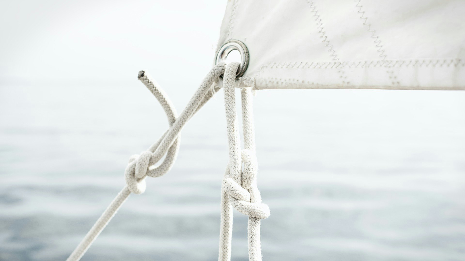 Sailors have several reliable knots at their disposal 