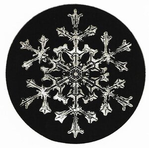 intricate snowflake with thin decorated arms