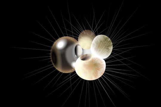 Microscopic foraminifera