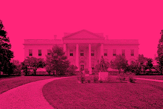 the White House with a pink overlay