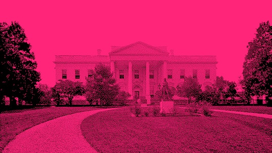 the White House with a pink overlay