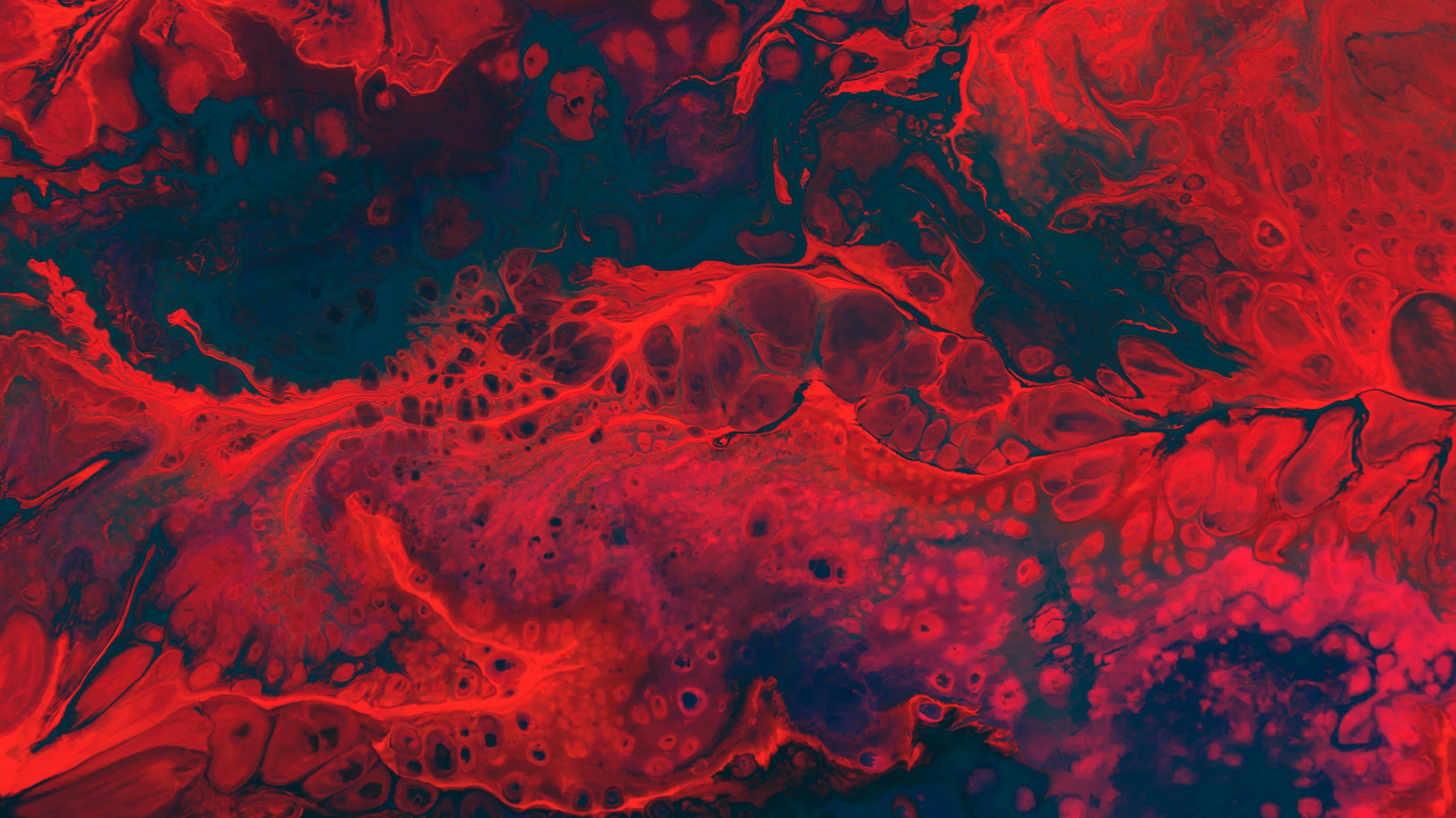 abstract art in red with cells