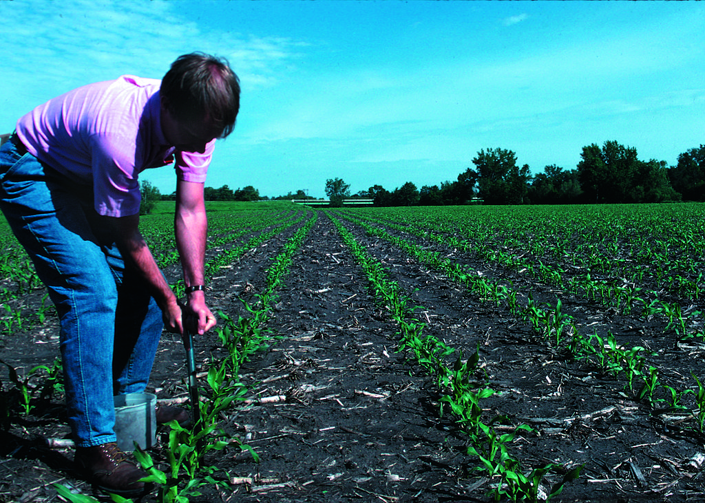 man planting crops