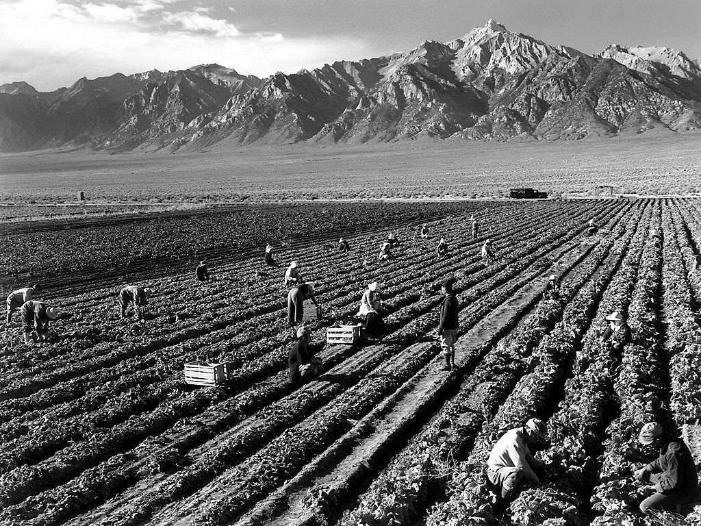 black and white photo of farm workers in front of a large mountain