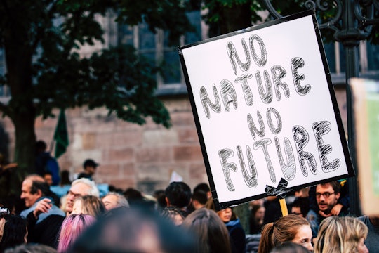 Protestor holding a sign that reads NO NATURE NO FUTURE