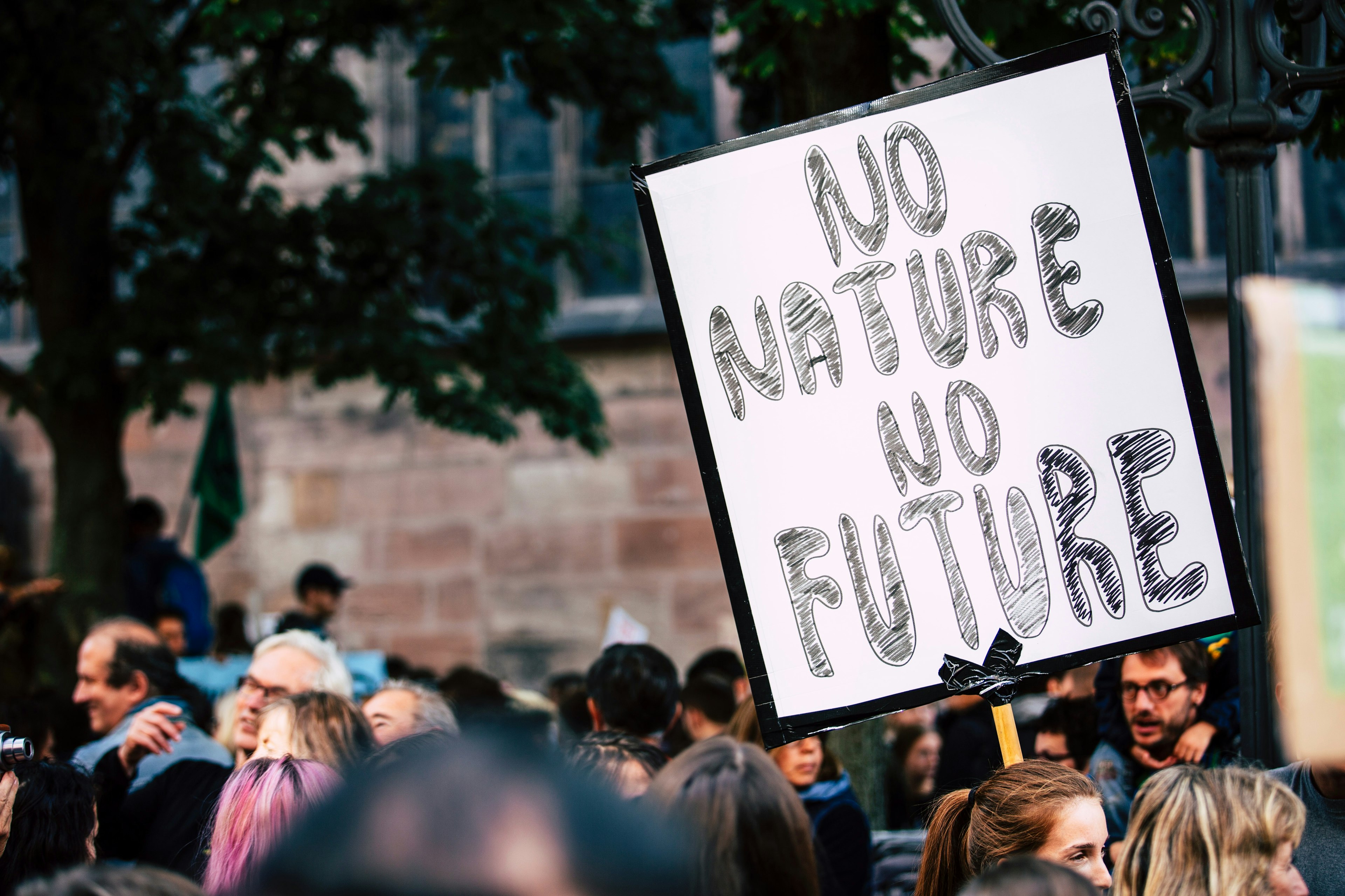 Protestor holding a sign that reads NO NATURE NO FUTURE