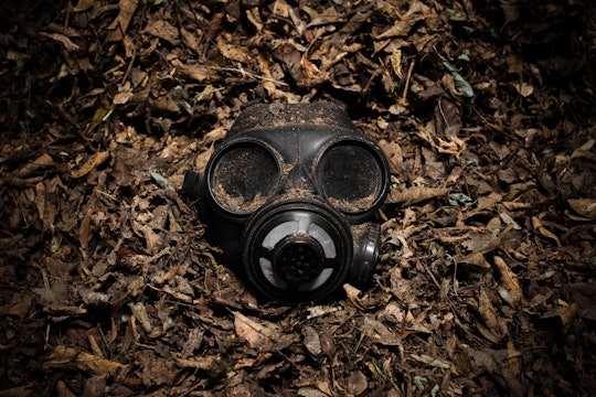gas mask a gas mask staring at the camera and sitting in a pile of leaves