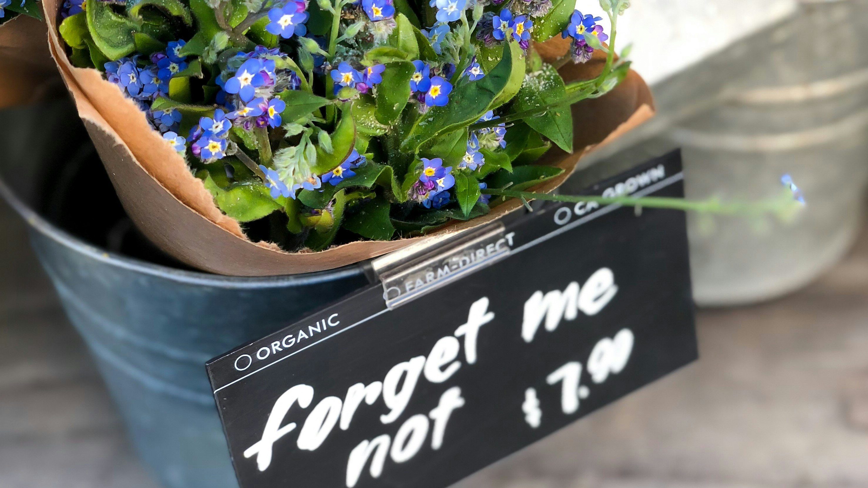 Forget-me-not flowers in a basket
