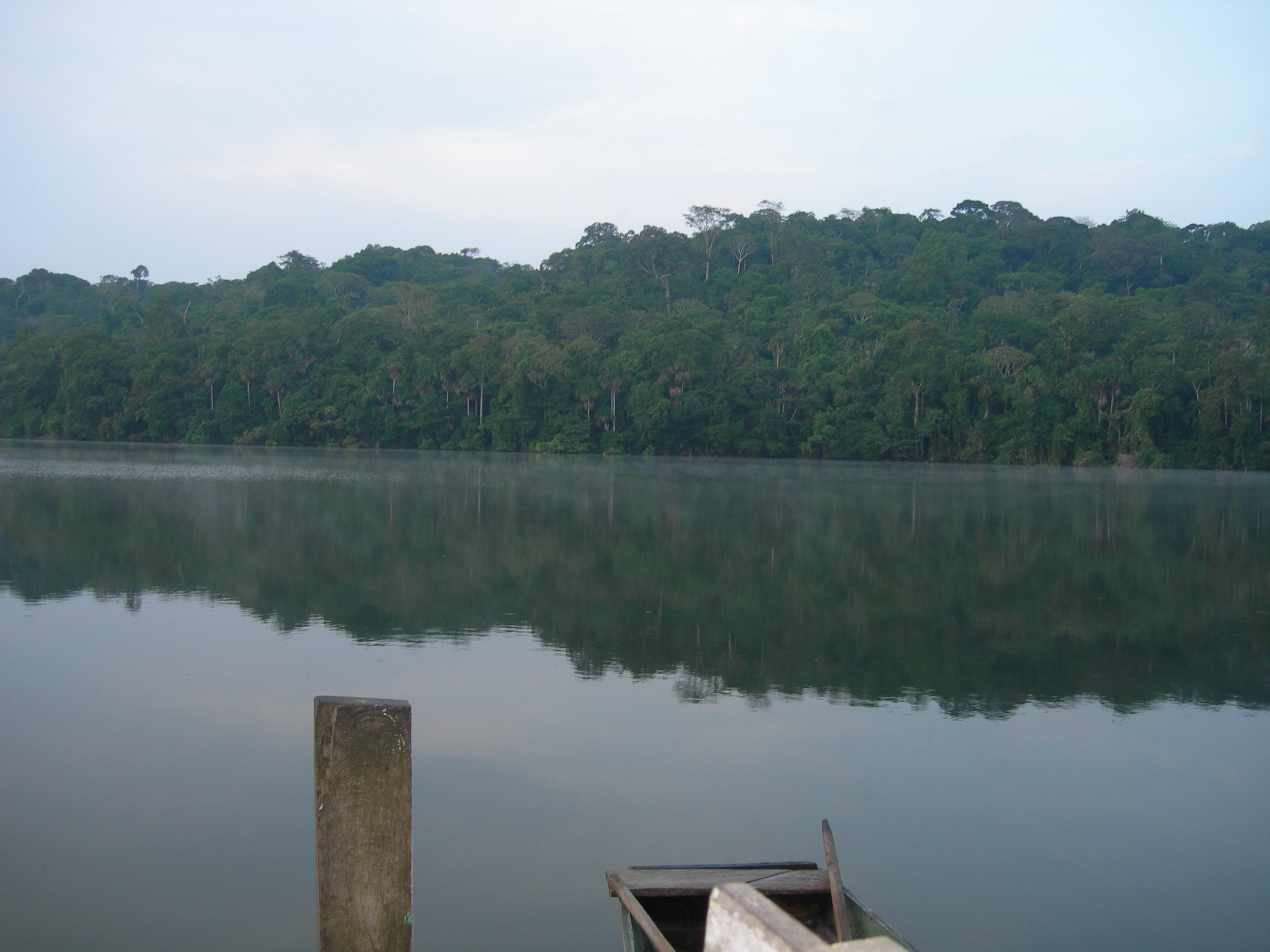 Chalalan Lake, Madidi National Park, Tuichi River, Bolivia