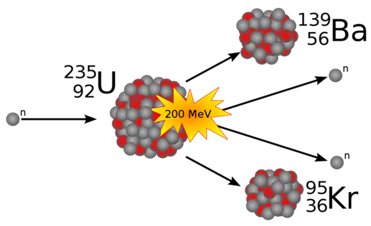 lise meitner atomic model