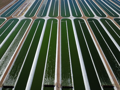 An aerial view of large pools of water used to grow Nannochloropsis, an edible algae.