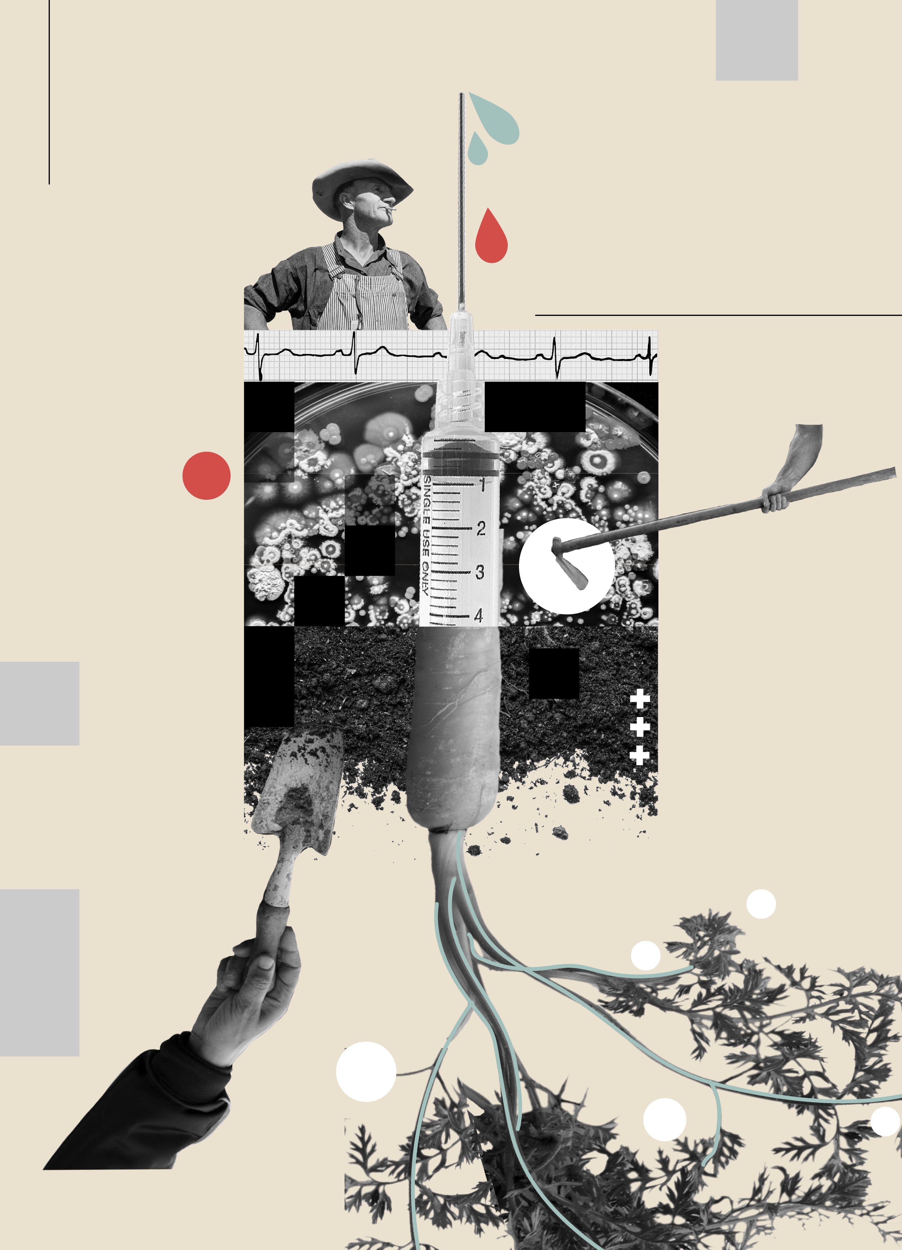 a collage showing farmers with a syringe and carrot against a tan background