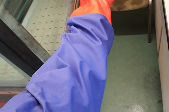 A shoulder length rubber glove used in a research lab to reach into fish tanks. If contaminated, would be thrown in the garbage.