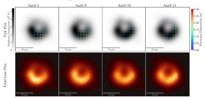 Two ways of visualizing the new polarized light observations from the EHT. The top figures show "tick plots" for each observation of M87, where each small tick represents how polarized the light is at that part of the image. A longer tick means the light is more polarized. The bottom figures show the magnetic field lines superimposed on top of the black hole image.