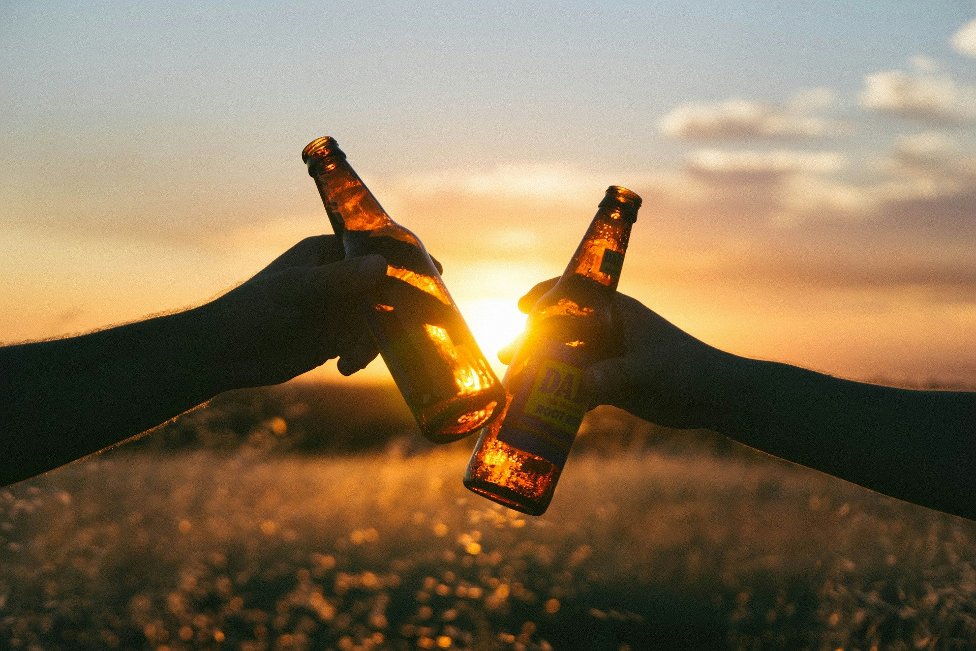 Two people cheersing their beers against a sunset.