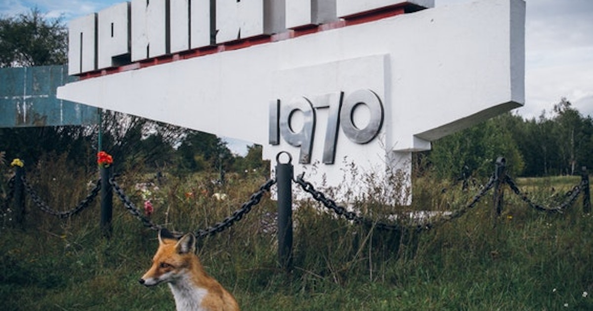 Dev-c Fallout 4 Dev-c Fallout 4