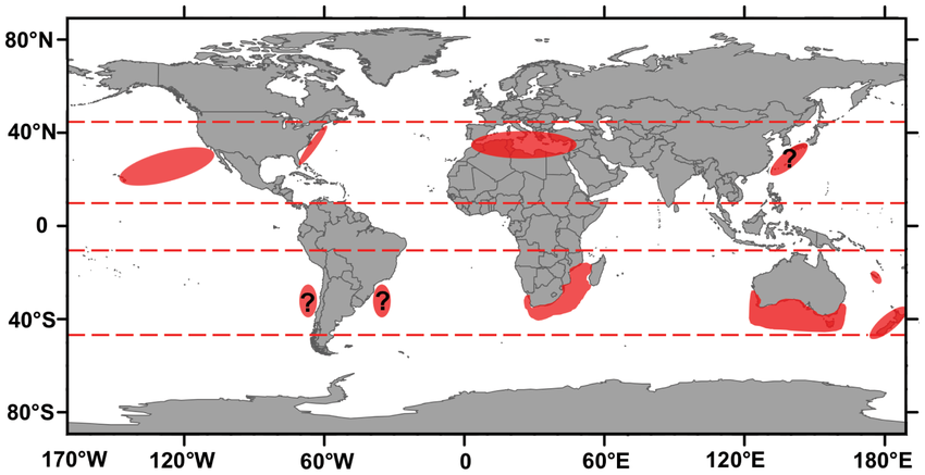 White shark hot spots