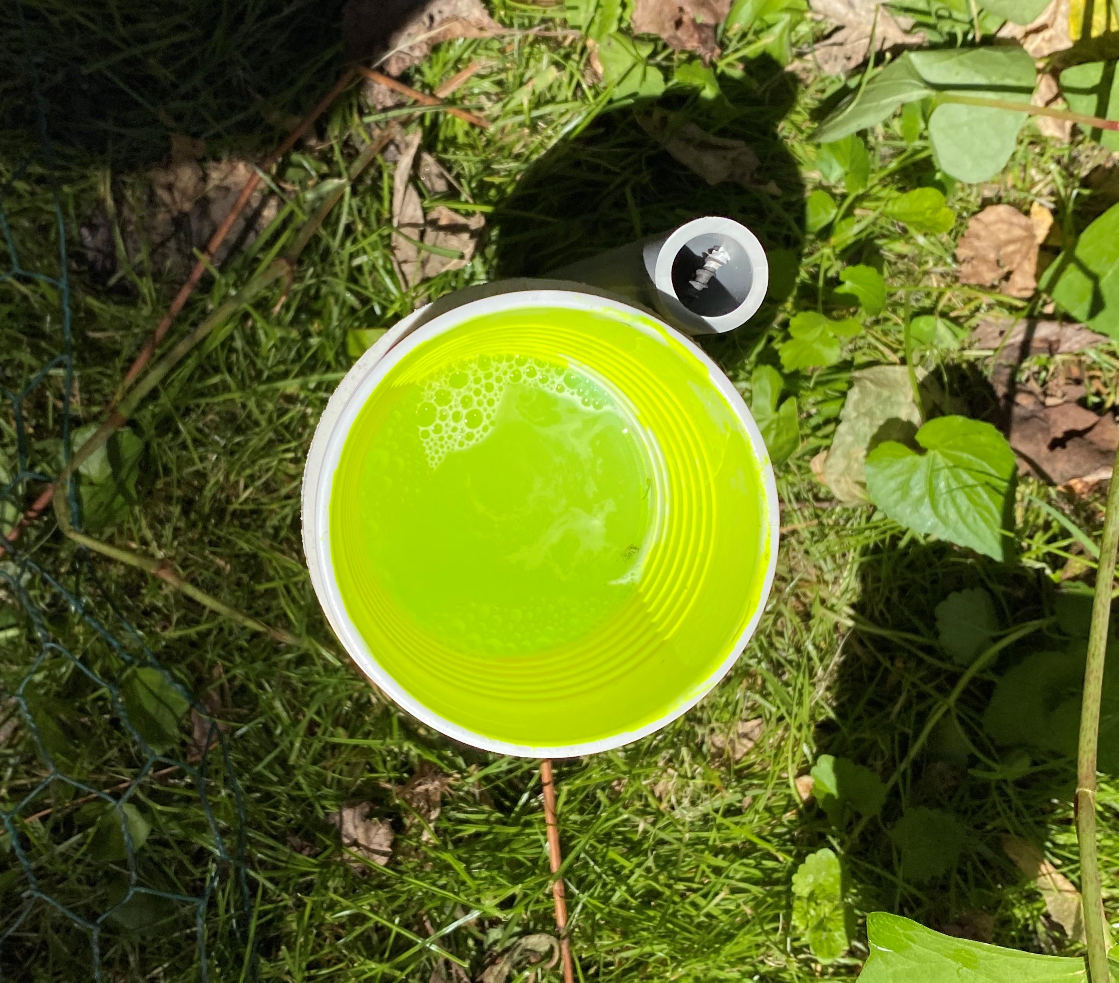 a bright green bowl filled with liquid