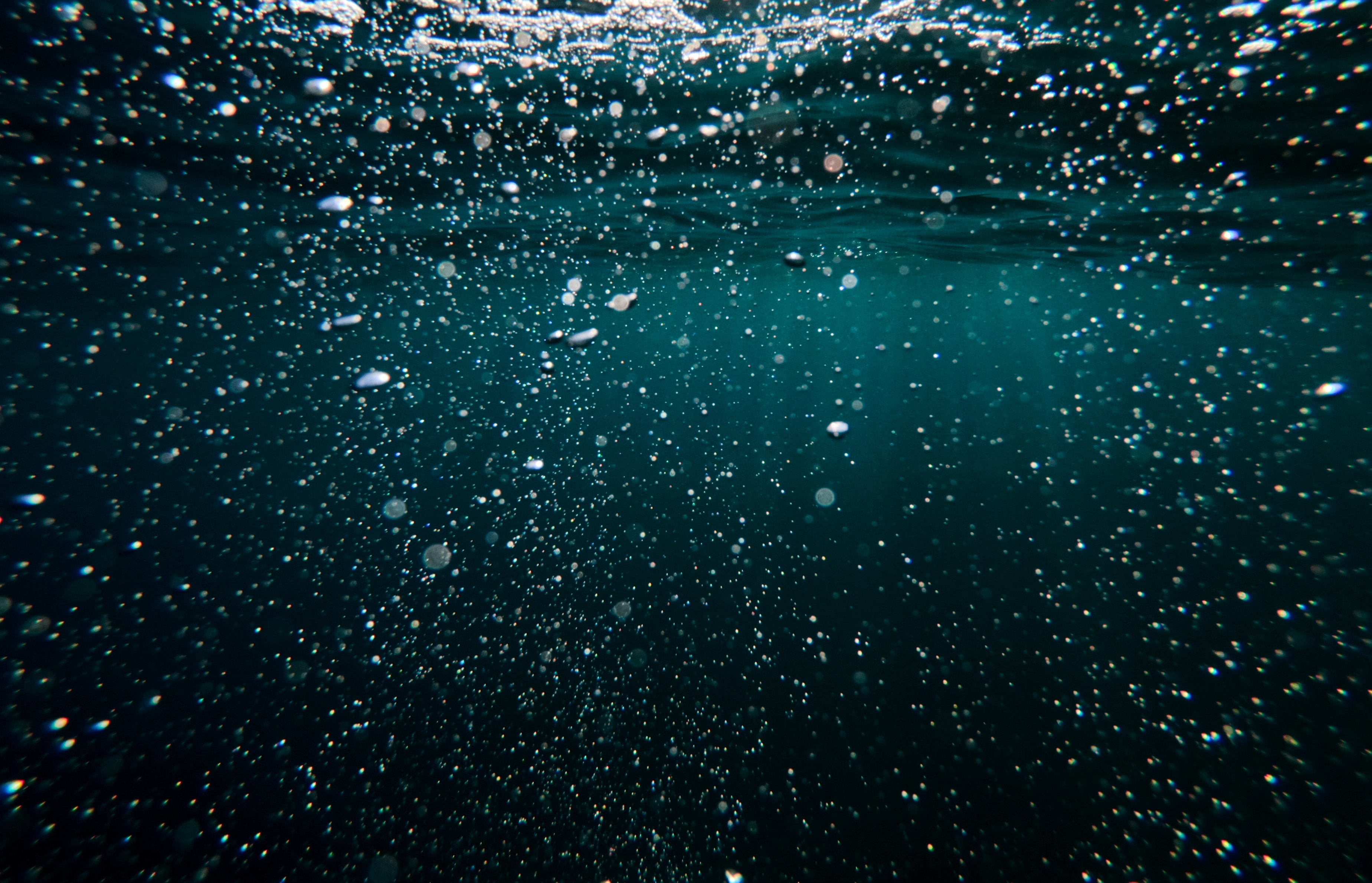 murky underwater photo