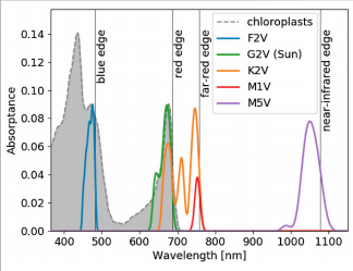 A plot showing what wavelength of light is absorbed most by modeled vegetation around other stars. F stars are the brightest, and M stars are the dimmest.