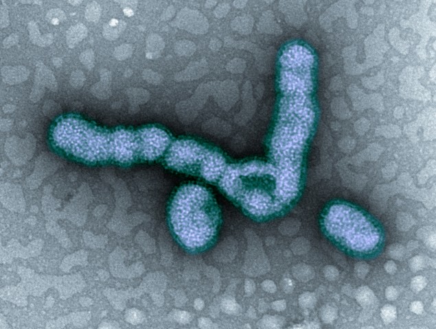 blue image of flu virus 